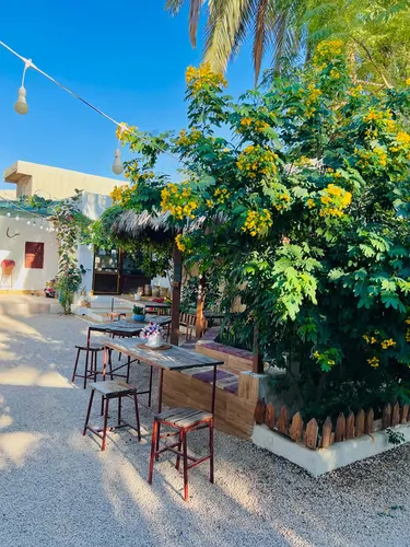 تصویر 17 - اقامتگاه بوم‌گردی ناخدا یوسف (جالبوت) در  کنگان