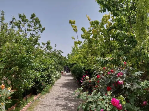 تصویر 19 - ویلا باغ استخردار آبگرم مجنون با فوتبالدستی در کردان