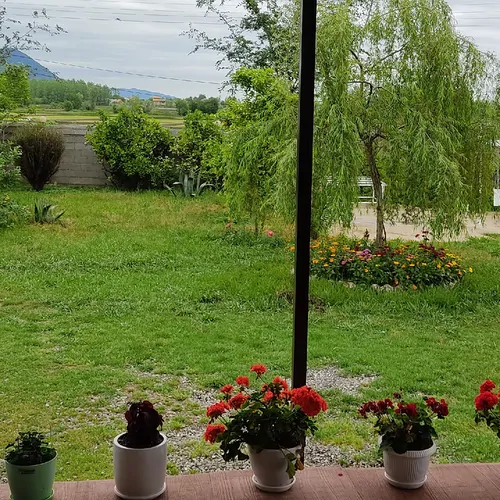 تصویر 22 - ویلا جنگلی لاله با فوتبال دستی در  ماسال