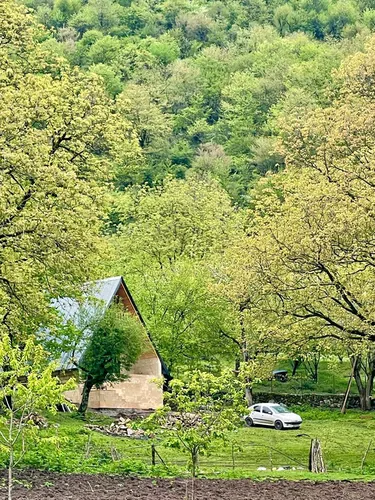 تصویر 2 - کلبه سوئیسی گردو در تالش