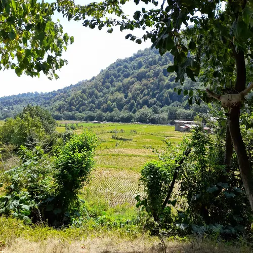 تصویر 8 - کلبه چوبی خرسند در  ماسال
