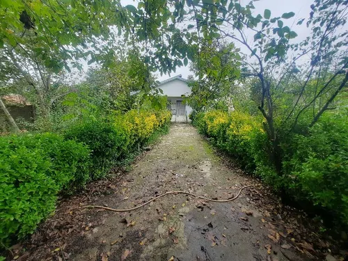 تصویر 2 - ویلا ویلای باغ ۱۰۰۰ متری فومن در فومن