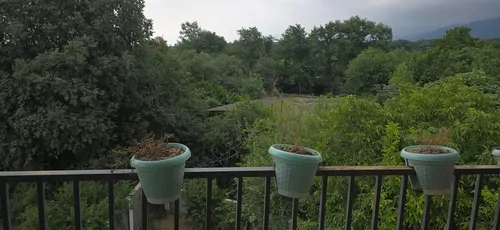 تصویر 3 - ویلا جکوزی دار باچشم انداز جنگل و دریا بندرگز در بندر گز