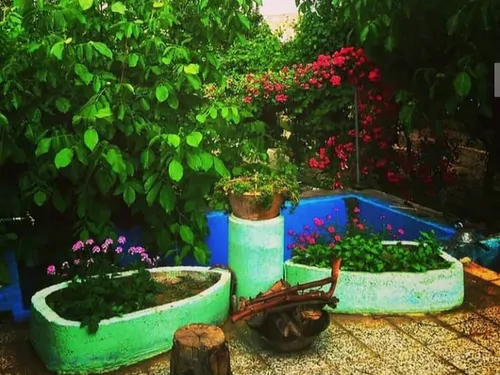 تصویر 3 - اقامتگاه بوم‌گردی گلستان پدری در نجف آباد