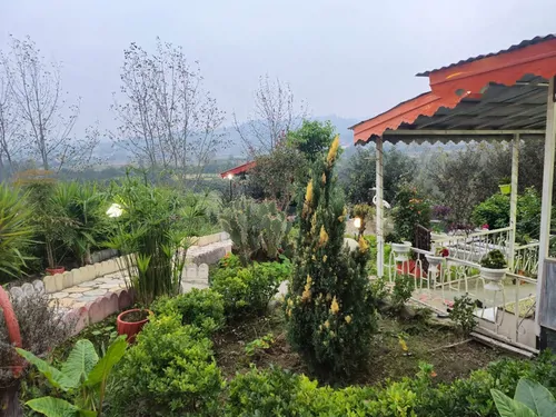 تصویر 18 - ویلا نیلوفر آبی در لنگرود