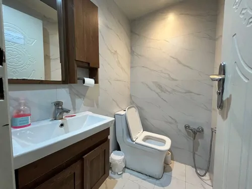 تصویر 11 - آپارتمان مبله مهوین (5) در خیابان امام خمینی در  تهران