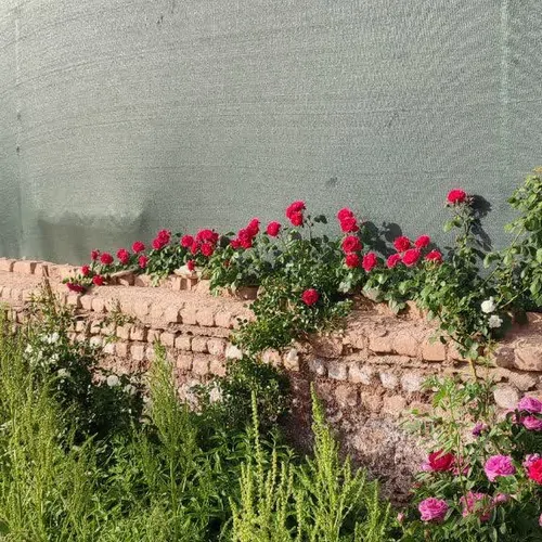 تصویر 3 - روستایی و عشایری  قلعه شهرآباد در گرمسار