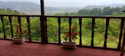 تصویر 19 - کلبه ماه تی تی (واحد میشکا) در  سوادکوه