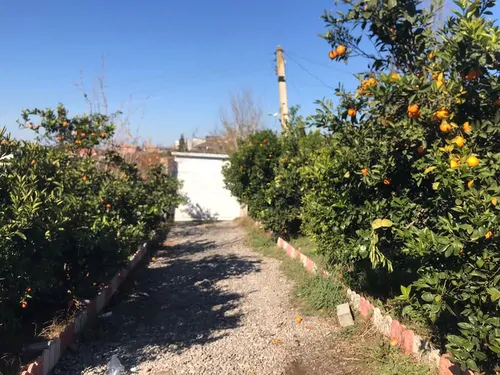 تصویر 17 - ویلا شیشه ای با جکوزی در  بابل کنار