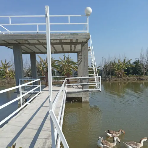 تصویر 49 - ویلا باغ دریاچه در  محمودآباد