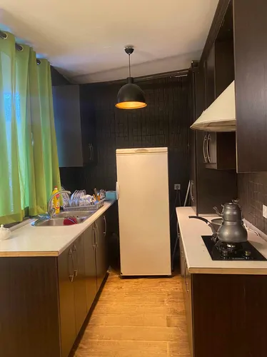 تصویر 2 - آپارتمان مبله آیدین در  میگون