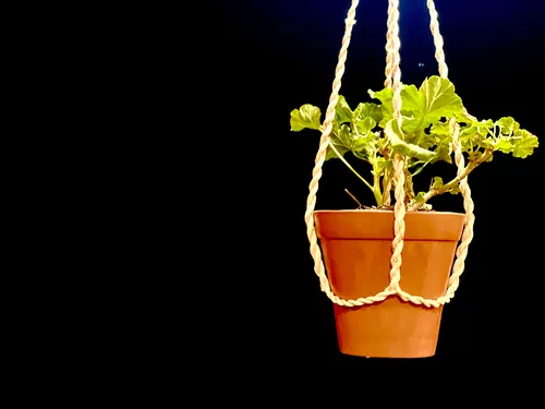 تصویر 19 - ویلا جنگلی در ماسال