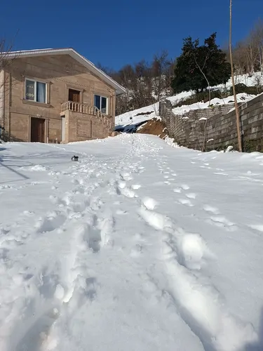 تصویر 28 - ویلا جنگلی توشی  در  سیاهکل