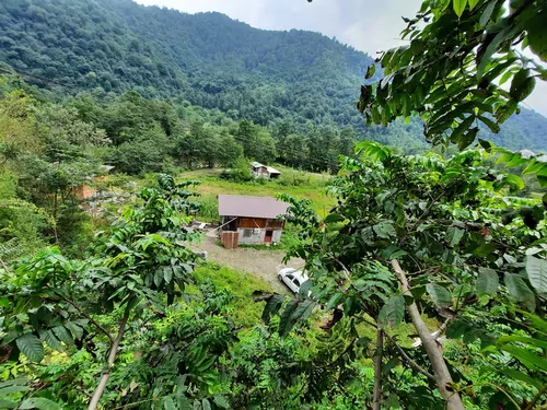 تصویر 10 - کلبه چوبی جنگلی آریالفور  در  شیرگاه