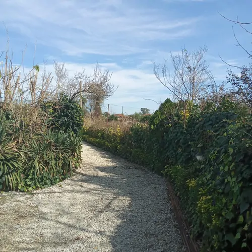 تصویر 18 - ویلا استخردار آبگرم باغ بهشت با جکوزی در  رامسر