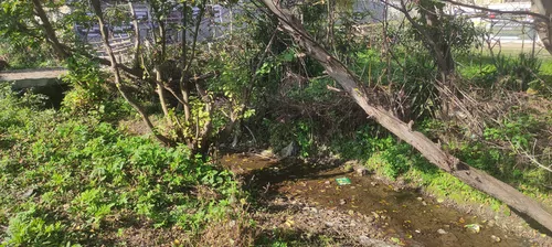 تصویر 5 - ویلا ویلای لوکس استخردار  آرسین در  ماسال