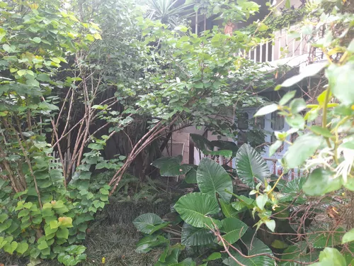 تصویر 3 - ویلا باغ ویلا در سرخ رود