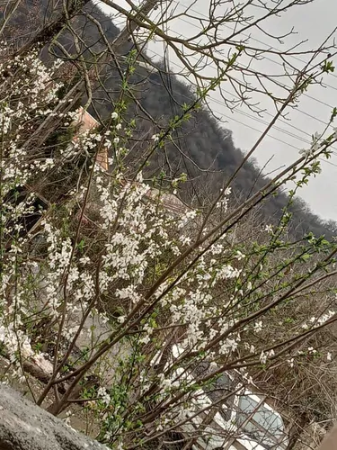 تصویر 13 - ویلا شکوفه بهار در  ماسال