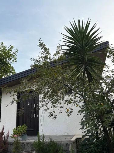 تصویر 10 - سوییت جنگلی لرسانور در  رامسر