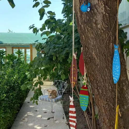 تصویر 18 - ویلا استخردار سرپوشیده آبگرم عسل در  نوشهر
