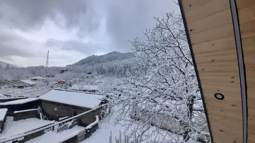 تصویر 13 - کلبه سوئیسی راحیل در شهسوار