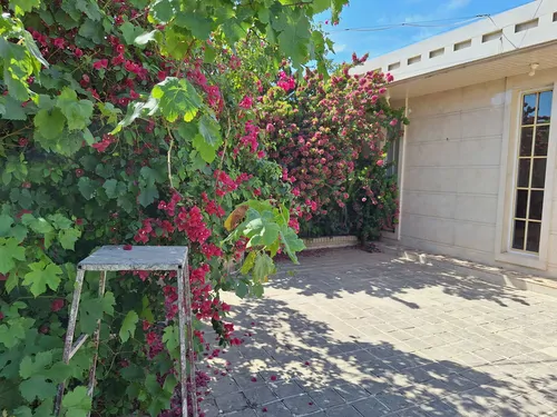 تصویر 26 - ویلا باغ حاتم در  دزفول