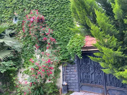 تصویر 4 - خانه ویلا دو خوابه ساحلی  در فریدون کنار