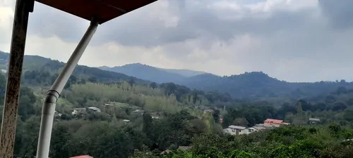 تصویر 4 - ویلا ویلای جنگلی شهنواز در شیرگاه