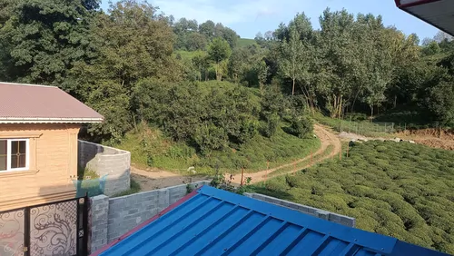 تصویر 15 - ویلا جنگلی مصطفی در املش