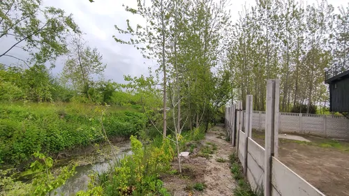 تصویر 23 - کلبه توسکا در  انزلی