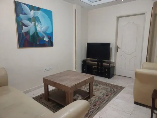 تصویر 8 - آپارتمان مبله آریان در پونک در تهران