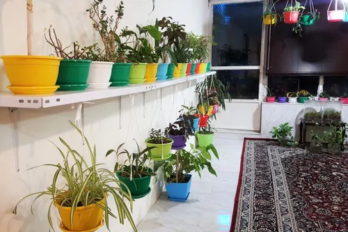 تصویر 2 - سوییت هزار جریب در اصفهان