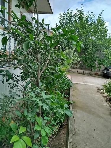 تصویر 21 - سوییت باران در آستانه اشرفیه