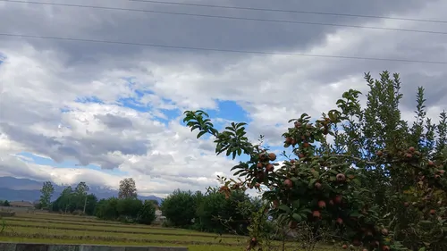 تصویر 24 - ویلا ساحلی دلیجان در  اسالم