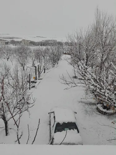 تصویر 17 - سوییت ویلایی باغ چوارچرا در  کامیاران