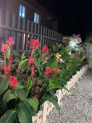 تصویر 27 - ویلا آرامش با دیزاین چوبی و فوتبال دستی در  پره‌سر