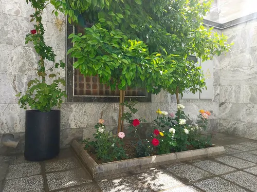 تصویر 20 - آپارتمان مبله بهار (۲) در  شیراز