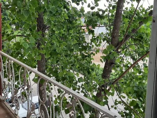 تصویر 8 - هتل آپارتمان برکه (واحد6) در  شفت