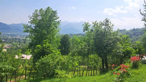 تصویر 16 - ویلا مانیسا در ماسال