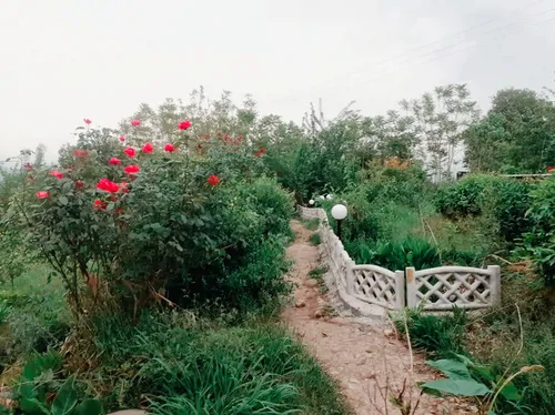 تصویر 15 - سوییت عمو رشید (واحد ۷) در بابل