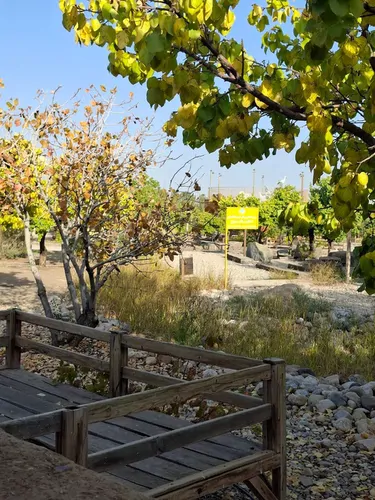 تصویر 8 - ویلا اورس (5) در  شاهرود