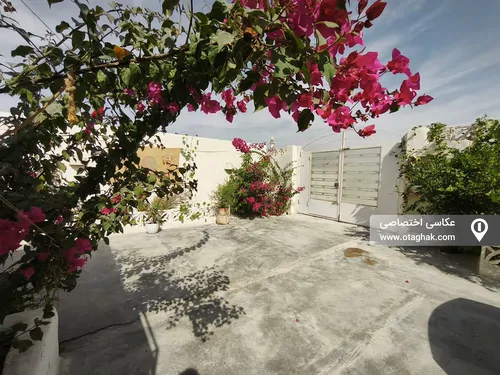 تصویر 2 - اقامتگاه بومگردی کهور (اتاق درخت زندگی) با صبحانه رایگان در قشم