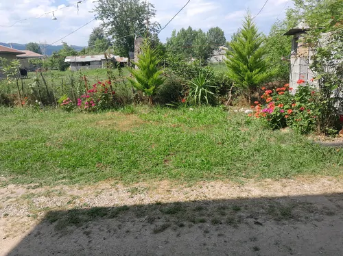تصویر 25 - ویلا جنگلی فردین در ماسال