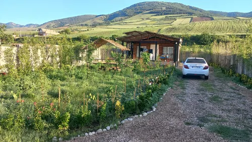 تصویر 2 - کلبه جنگلی آرین در گالیکش