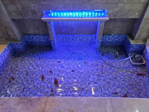 تصویر 2 - ویلا لاکچری در رفسنجان