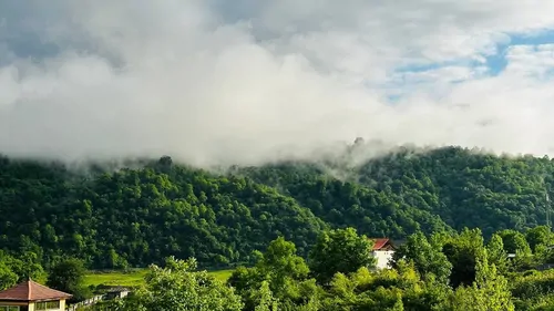 تصویر 35 - ویلا  جنگلی رایان در  شیرگاه