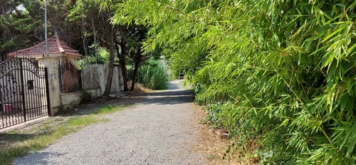 تصویر 9 - ویلا مرجان در  سرخ رود
