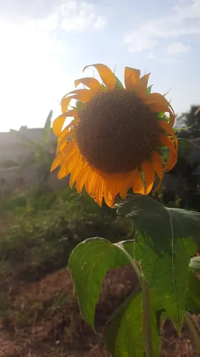 تصویر 13 - ویلا کاسپین نزدیک دریا در  پره‌سر