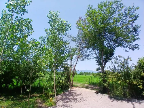 تصویر 11 - کلبه  سوئیسی مونترو در  ماسال