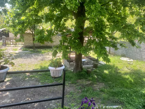 تصویر 12 - کلبه سوییسی پوریا در ماسال